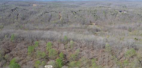 0 Owl Circle Hurricane Mills TN 37078