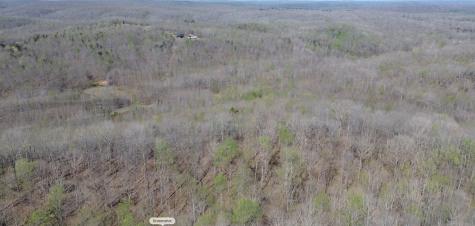 0 Owl Circle Hurricane Mills TN 37078