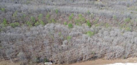 0 Owl Circle Hurricane Mills TN 37078
