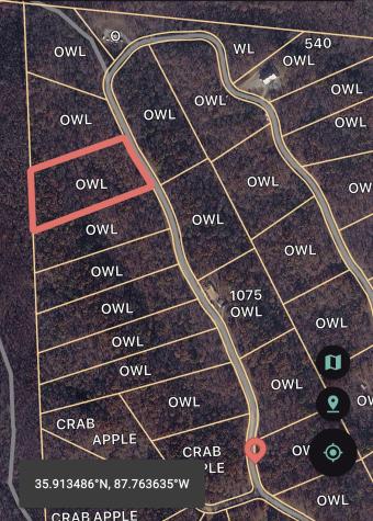 0 Owl Circle Hurricane Mills TN 37078