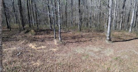 0 Owl Circle Hurricane Mills TN 37078