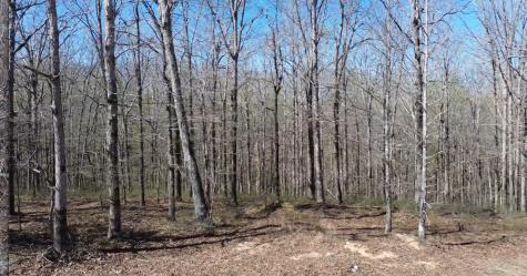 0 Owl Circle Hurricane Mills TN 37078