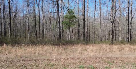 0 Owl Circle Hurricane Mills TN 37078
