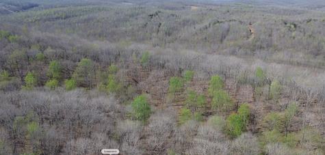 0 Owl Circle Hurricane Mills TN 37078