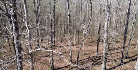 0 Owl Circle Hurricane Mills TN 37078