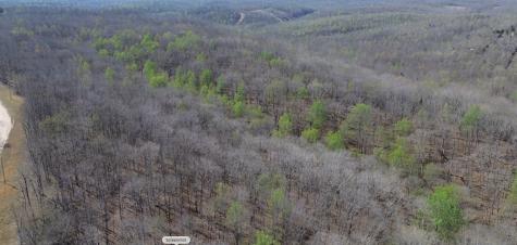 0 Owl Circle Hurricane Mills TN 37078