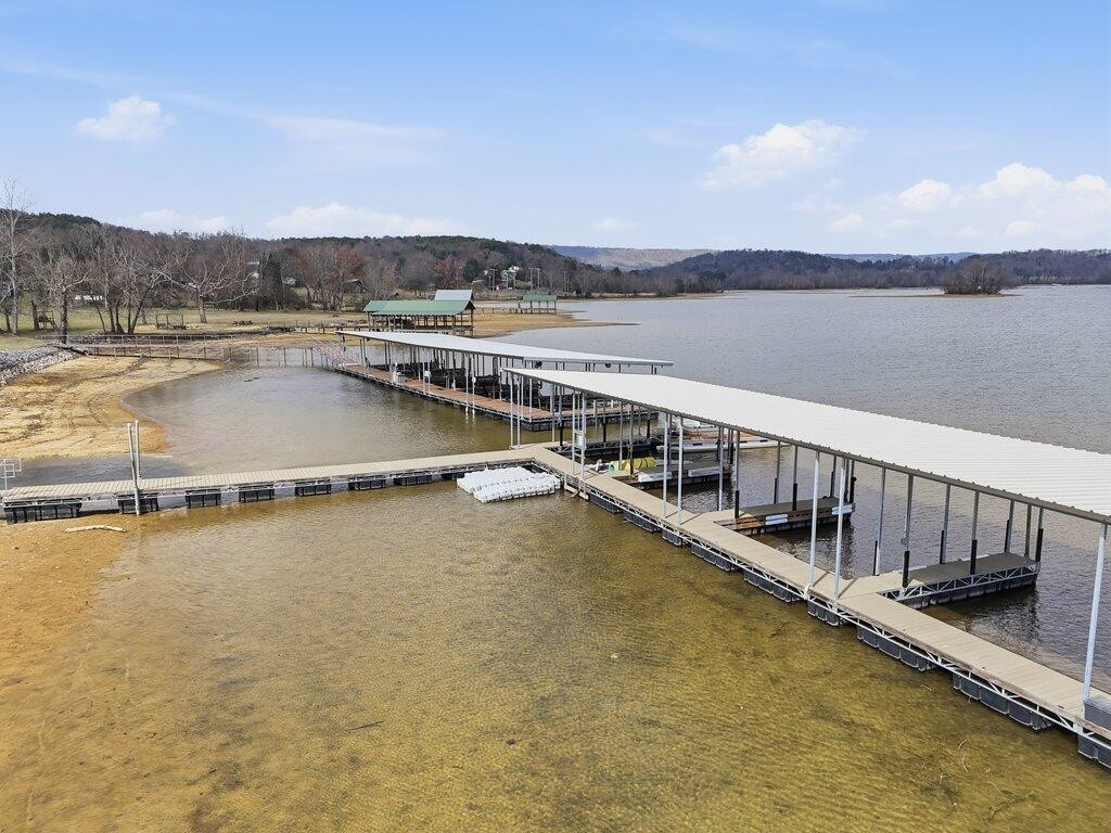 1255 New Lake Road Spring City TN 37381