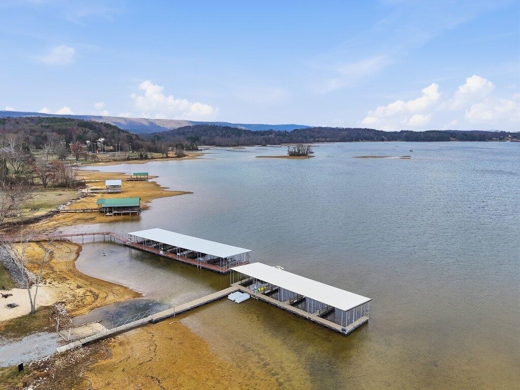 1255 New Lake Road Spring City TN 37381