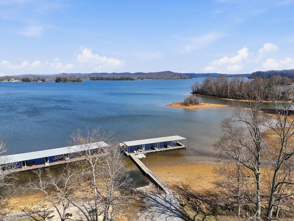 1255 New Lake Road Spring City TN 37381