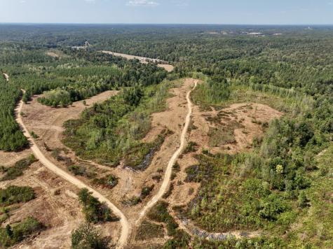 0 Fire Tower Road Erin TN 37061
