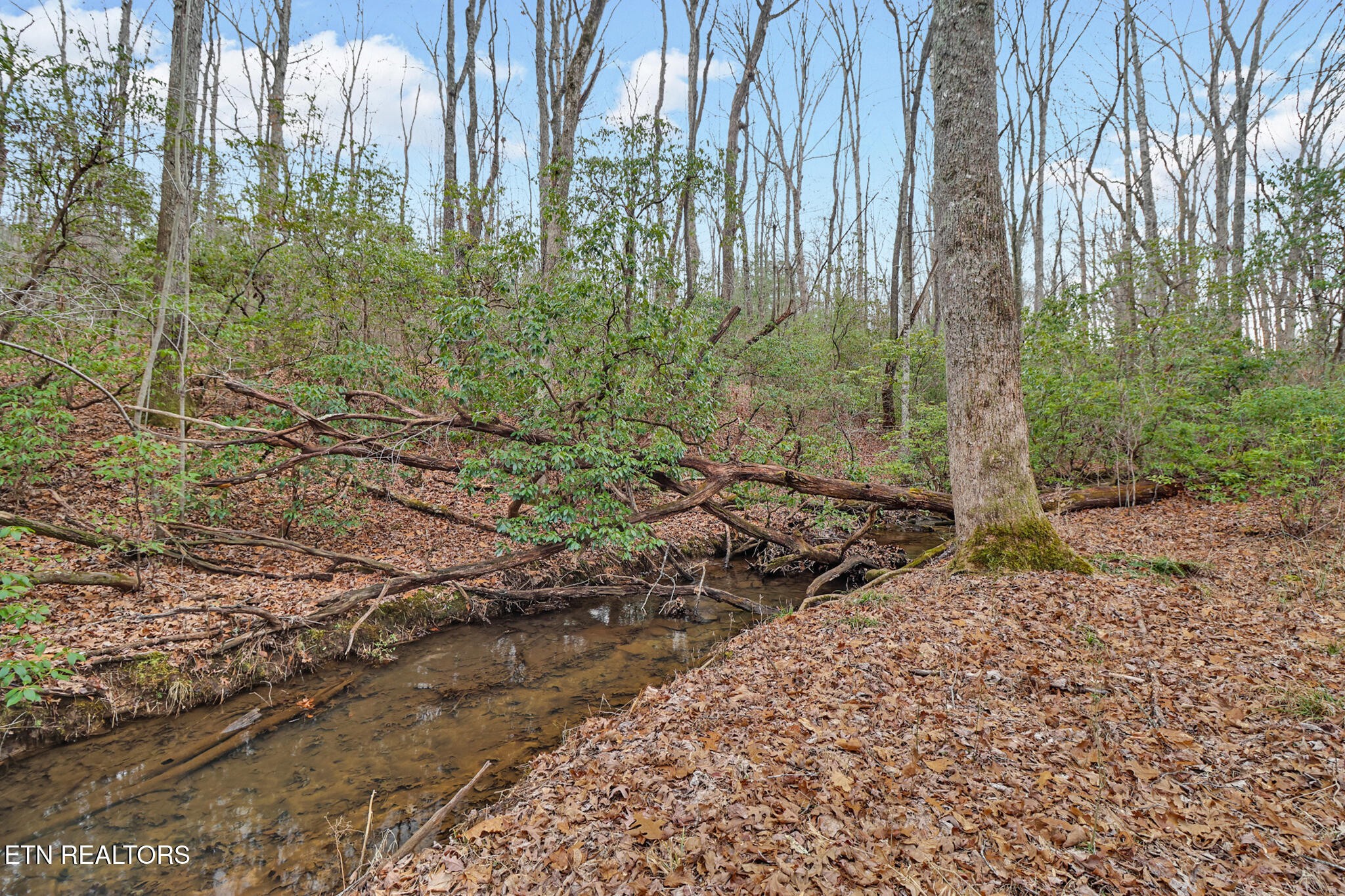 218 Channing Lane Crossville TN 38555