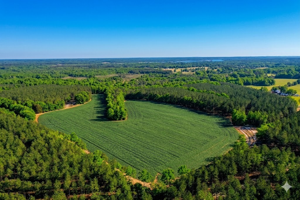 0 Doe Road Saltillo TN 38370