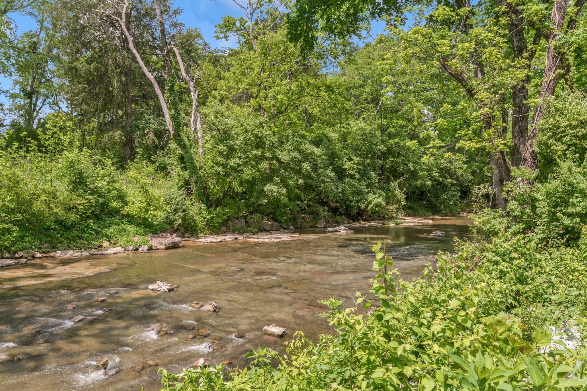 482 Bishop Boulevard Gallatin TN 37066