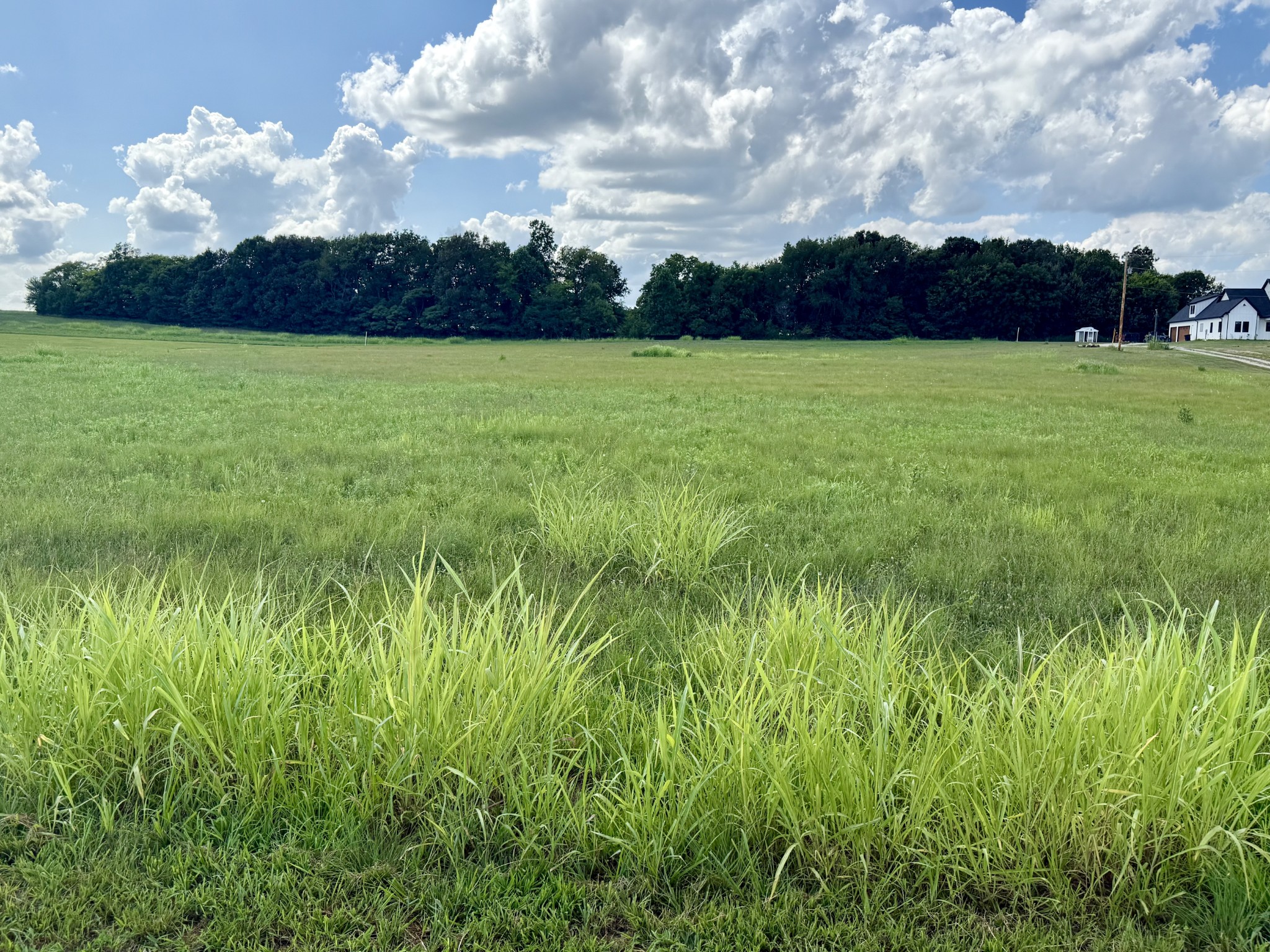 165 Perdue Cemetery Road Portland TN 37148
