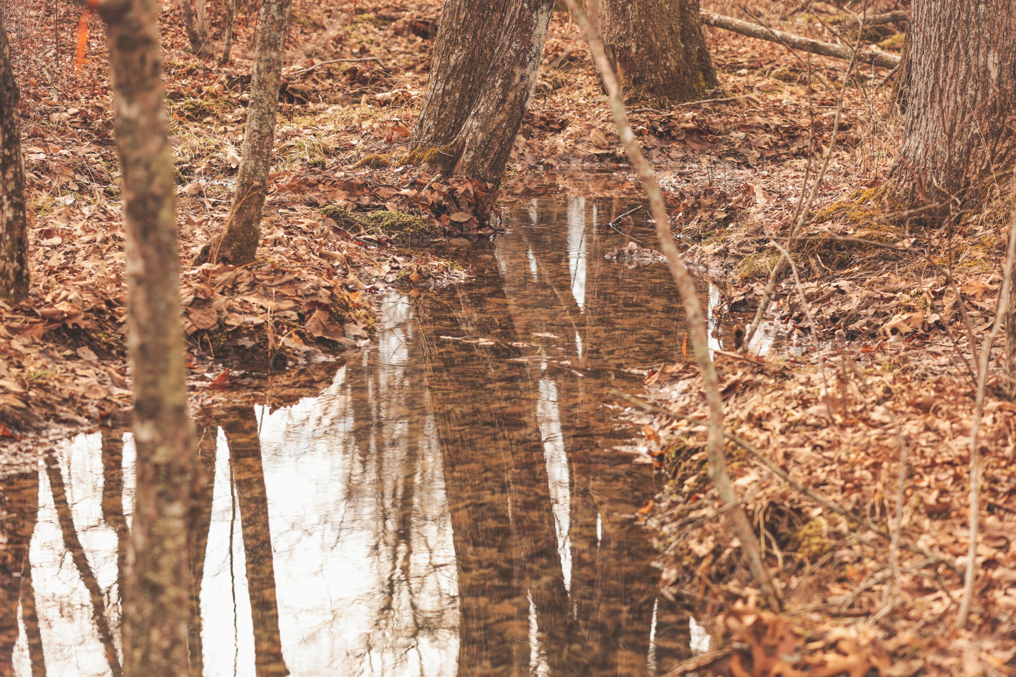 1555 Palmer Firetower Road Palmer TN 37365