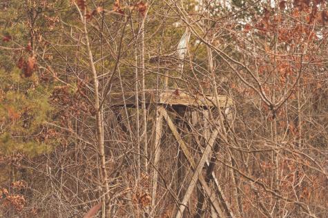 1555 Palmer Firetower Road Palmer TN 37365