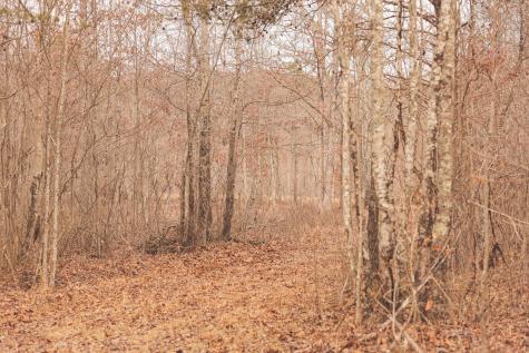 1555 Palmer Firetower Road Palmer TN 37365