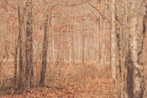 1555 Palmer Firetower Road Palmer TN 37365