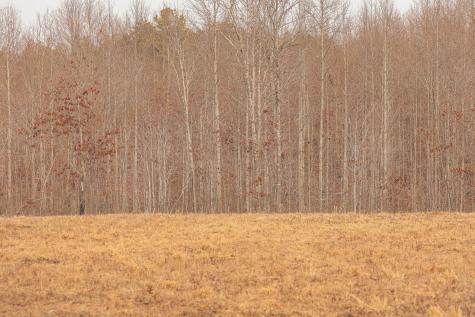 1555 Palmer Firetower Road Palmer TN 37365