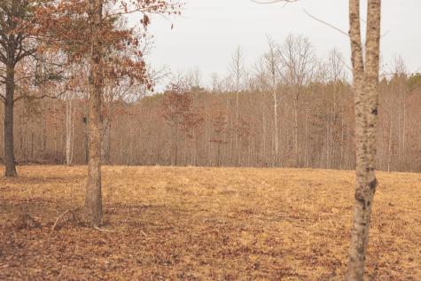 1555 Palmer Firetower Road Palmer TN 37365