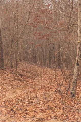 1555 Palmer Firetower Road Palmer TN 37365