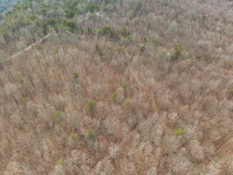 1555 Palmer Firetower Road Palmer TN 37365