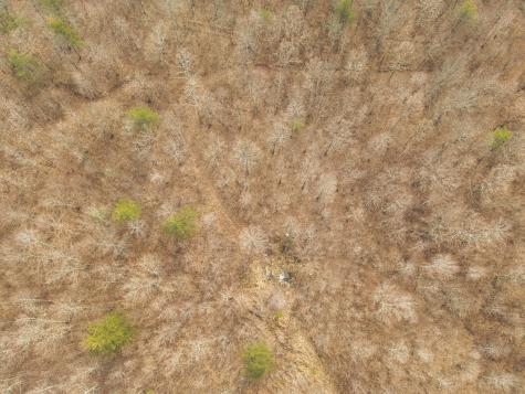 1555 Palmer Firetower Road Palmer TN 37365