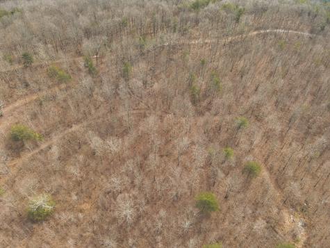 1555 Palmer Firetower Road Palmer TN 37365