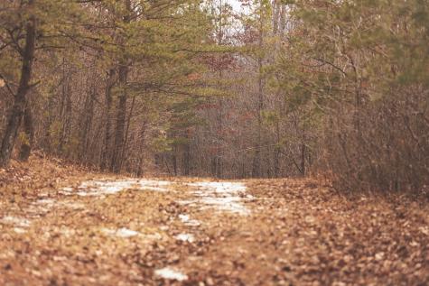 1555 Palmer Firetower Road Palmer TN 37365