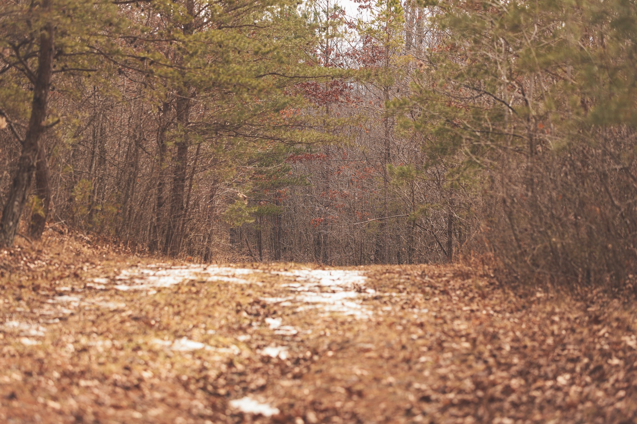 1555 Palmer Firetower Road Palmer TN 37365