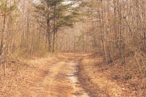 1555 Palmer Firetower Road Palmer TN 37365