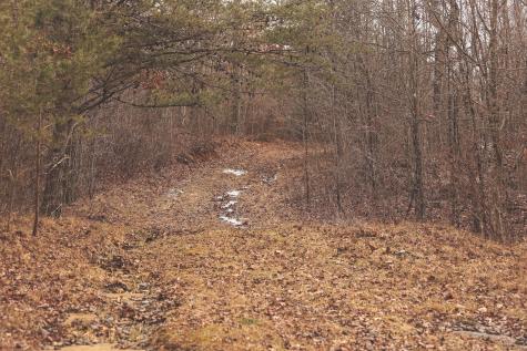 1555 Palmer Firetower Road Palmer TN 37365