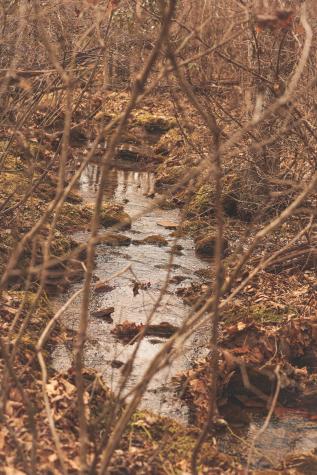 1555 Palmer Firetower Road Palmer TN 37365