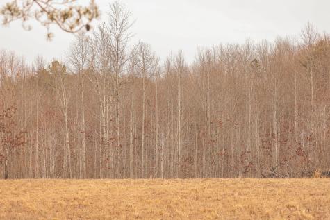 1555 Palmer Firetower Road Palmer TN 37365