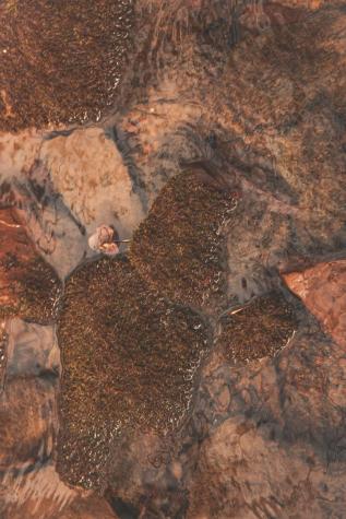 1555 Palmer Firetower Road Palmer TN 37365