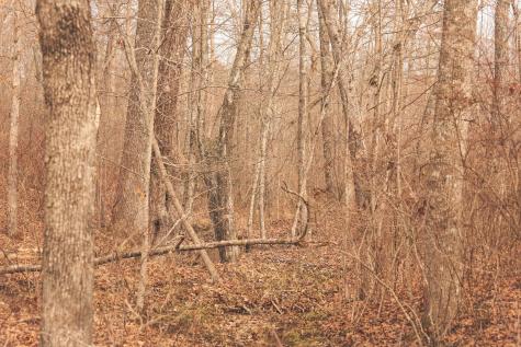 1555 Palmer Firetower Road Palmer TN 37365