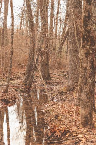 1555 Palmer Firetower Road Palmer TN 37365