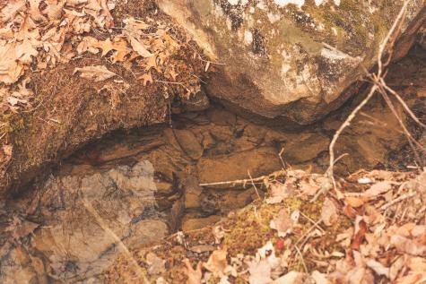 1555 Palmer Firetower Road Palmer TN 37365