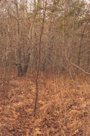 1555 Palmer Firetower Road Palmer TN 37365