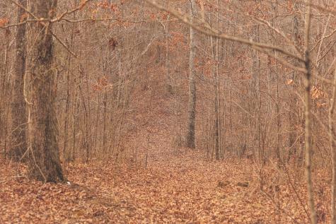 1555 Palmer Firetower Road Palmer TN 37365