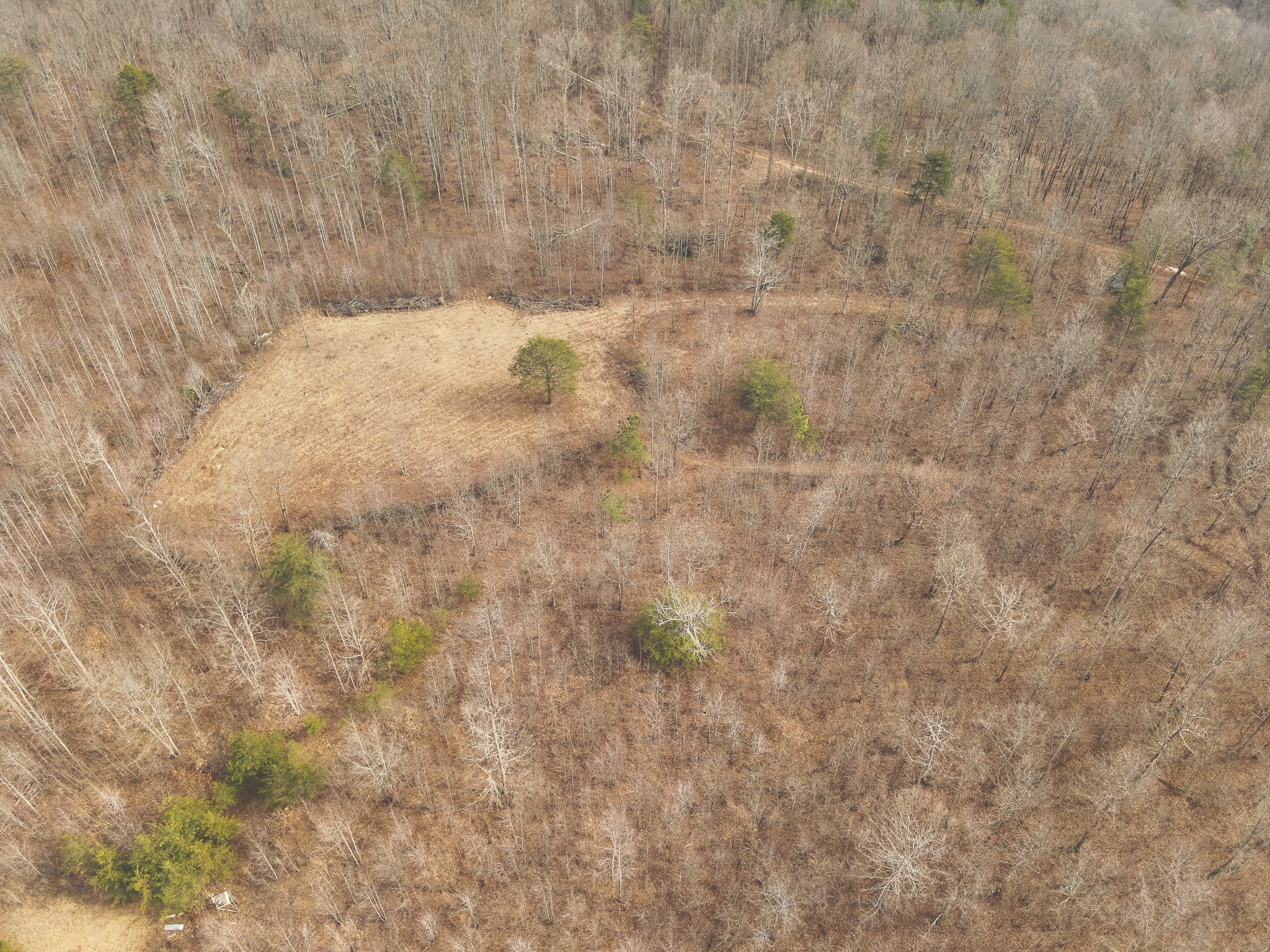1555 Palmer Firetower Road Palmer TN 37365
