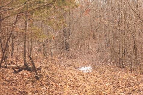 1555 Palmer Firetower Road Palmer TN 37365