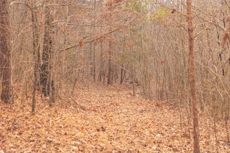 1555 Palmer Firetower Road Palmer TN 37365