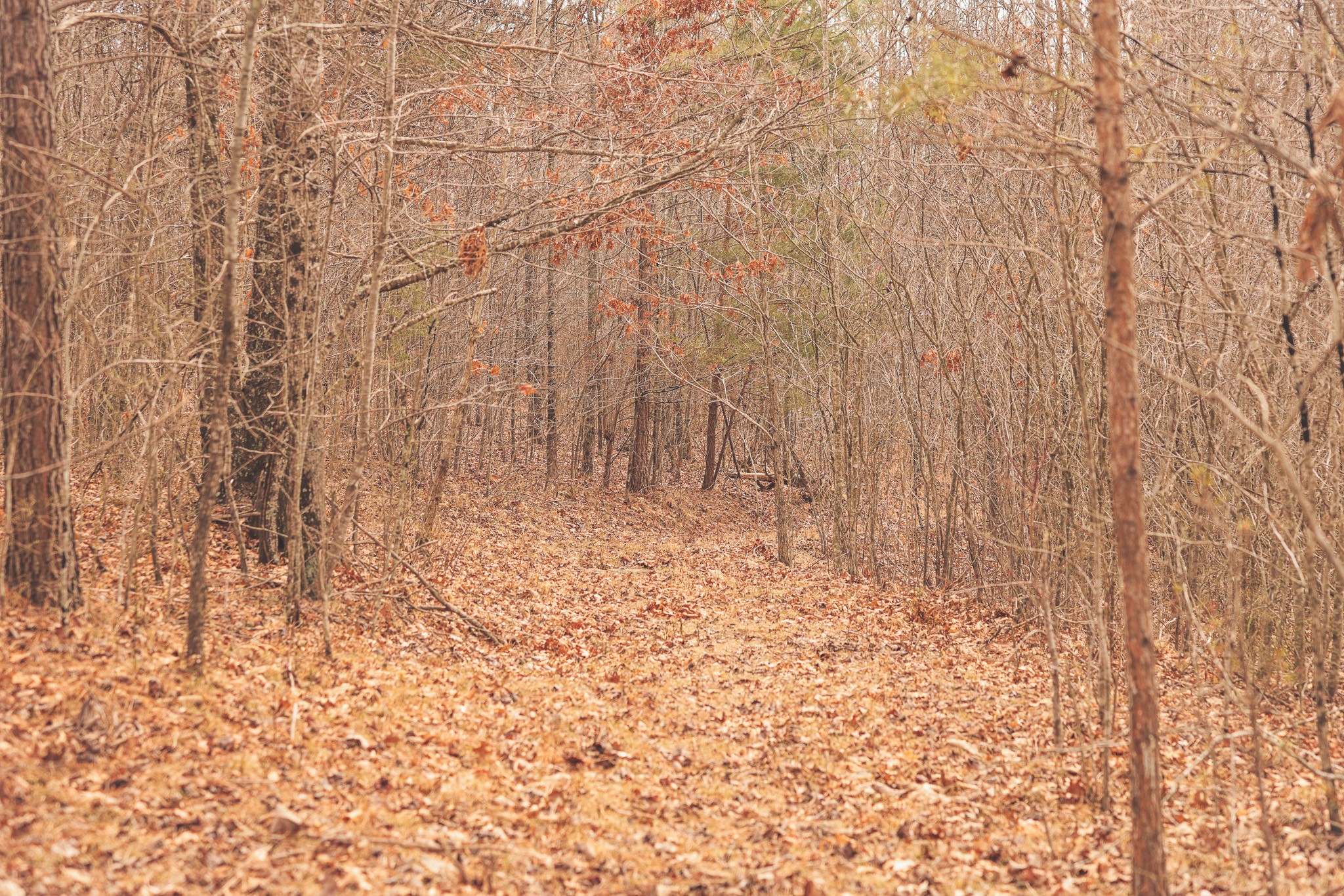 1555 Palmer Firetower Road Palmer TN 37365