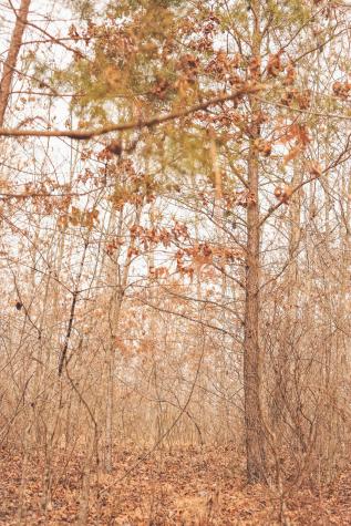 1555 Palmer Firetower Road Palmer TN 37365