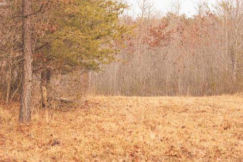 1555 Palmer Firetower Road Palmer TN 37365