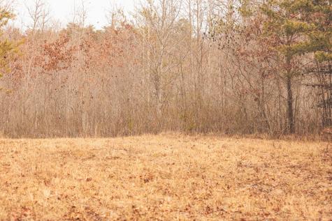 1555 Palmer Firetower Road Palmer TN 37365