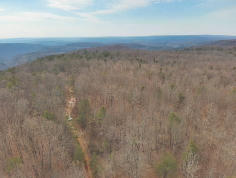 1555 Palmer Firetower Road Palmer TN 37365