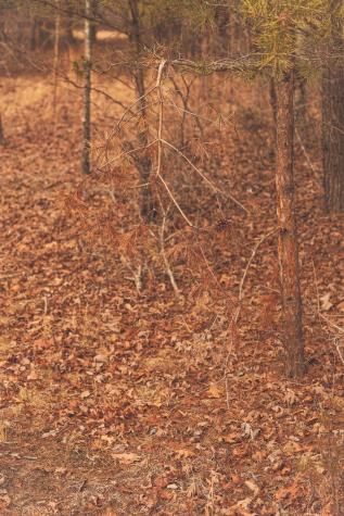 1555 Palmer Firetower Road Palmer TN 37365