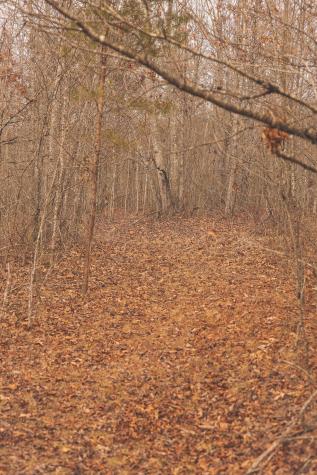 1555 Palmer Firetower Road Palmer TN 37365